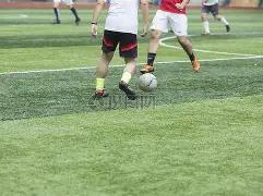 双色球秘籍,大公开,独家预测,体彩网,中国体彩网直播,中国体彩网官方,体彩网下载