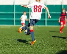 貂蝉神算,双色球绝杀,三蓝,体彩网,中国体彩网直播,中国体彩网官方,体彩网下载