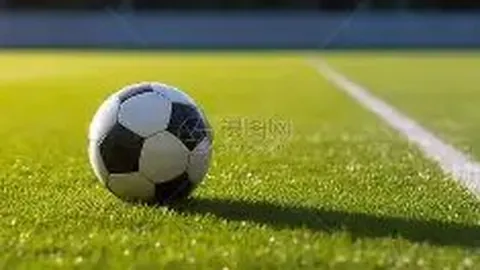 【双色球秘典揭晓】2026011期号码预测大揭秘：红球胆码锁定，感谢有你共探彩运！