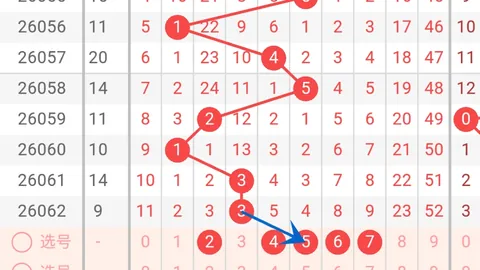 大乐透第2026055期专家推荐：质合分析及前区十码