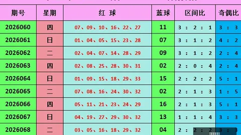 2026年快乐826159期攻略中国体彩网常见问题：深度解析与避雷指南